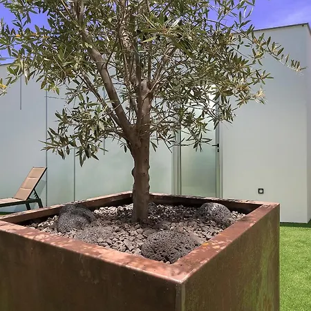 Da Silva * Arco da Calheta