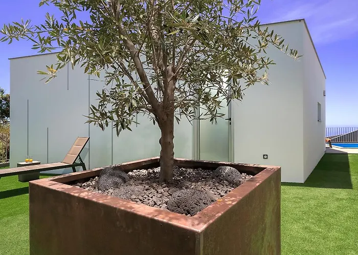 Da Silva * アルコ・ダ・カリェタ